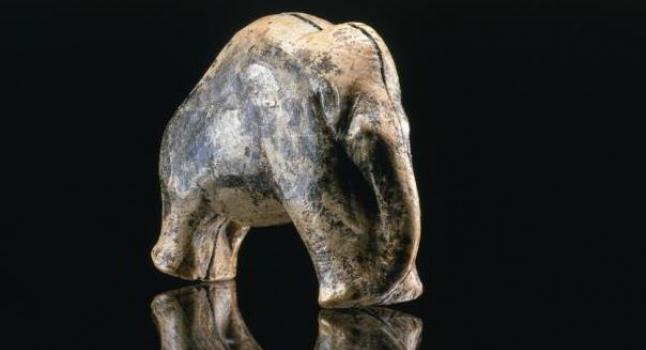 Estudio de la Universidad Tübingen revela que los cazadores hace 30 mil años contribuyeron a su extinción. (Universität Tübingen)