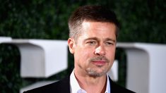 Brad Pitt reapareció más delgado tras su polémico divorcio con Angelina Jolie