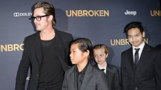 Brad Pitt pide la custodia compartida de sus 6 hijos