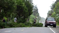Noticias de última hora: al menos 4 muertos y 30 desaparecidos por huracán Otto en Costa Rica