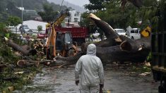 Últimas noticias del mundo: al menos 3 muertos por tormenta tropical Otto en Panamá