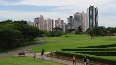 Curitiba, una ciudad ejemplo en sustentabilidad y ecología (Video)