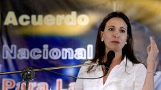 Oposición celebra la suspensión de Venezuela en el Mercosur