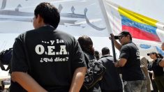 Secretaría de la OEA se solidariza con pueblo venezolano