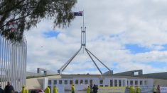 El senado australiano avanza contra la obtención antiética de órganos