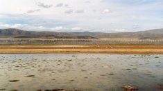Lluvias hacen renacer al Lago Poopó en Bolivia