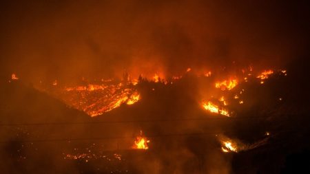 Chile vive los peores incendios forestales de su historia (Video)