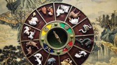 La otra versión de la leyenda de los 12 animales del horóscopo chino