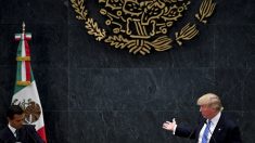 Trump y Peña Nieto se reunirán en Alemania
