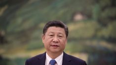 Análisis: Detrás del «aplastante impulso» de Xi Jinping para eliminar la corrupción