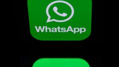 La última versión de Whatsapp tiene un buscador de Gifs integrado