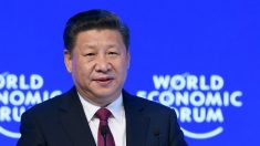 Xi Jinping defiende el ganso de oro en Davos
