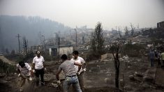 Arriban a Chile 50 brigadistas mexicanos para combatir incendios