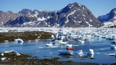 Calentamiento global: 2016 fue el año más caluroso para la Tierra desde 1880