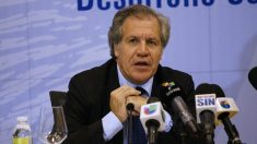 Secretario de la OEA denuncia “autogolpe” en Venezuela