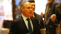 Senado confirmó a Scott Pruitt para la Agencia de Protección Ambiental