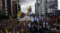 Ecuador: Habría segunda vuelta en elección presidencial