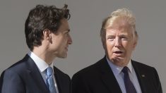 Últimas noticias del mundo: Donald Trump recibe Justin Trudeau, primer ministro de Canadá