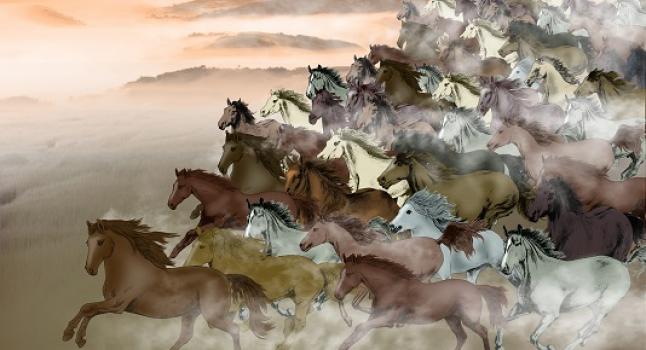 Miles de caballos galopando. (Anny Jean/La Gran Época)