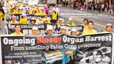 China dice que no sustrae órganos, pero la evidencia la contradice