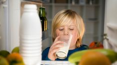 Razones por las que no deberías guardar la leche en la puerta del refrigerador