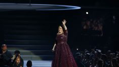 Adele suspende un concierto al ver que una fan se encontraba indispuesta