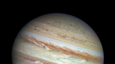 Júpiter se acerca a la Tierra y se podrá ver en detalle sin telescopio