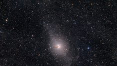 Centauro A: la galaxia caníbal más cercana a La Tierra