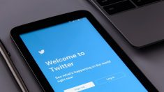Twitter canceló más de 376 mil cuentas relacionadas al terrorismo