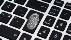 Privacidad online: borrar tu rastro vs dejar pistas falsas