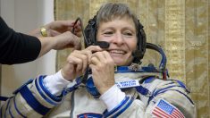 Trump felicitó a la astronauta estadounidense Whitson por batir récord en el espacio