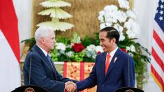 Mike Pence pide a Indonesia relación comercial de «ganar-ganar»