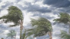 NOAA pronostica temporada de huracanes inusualmente activa