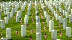 Estados Unidos conmemora el Memorial Day, en recuerdo a los caídos en las guerras
