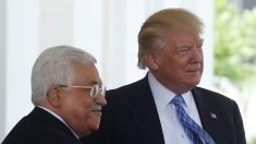 El presidente de Palestina se reúne con Trump en la Casa Blanca