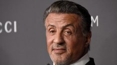Sylvester Stallone estaría en más películas de Marvel