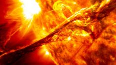 Descubre cuál es el origen de las erupciones solares grandes y pequeñas