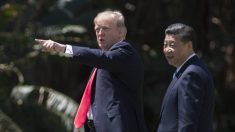 Trump dice que Xi Jinping intentó ayudar con Corea del Norte, aunque no funcionó