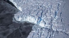 La ruptura del iceberg en la Antártida no fue causada por el cambio climático