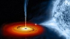 Descubren nuevas evidencias de la transición al blanco de los agujeros negros