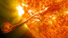 Científicos confirman que una súper llamarada solar podría acabar con la vida en la Tierra