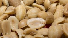 Buenas noticias para los alérgicos al cacahuate