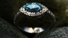 Una zanahoria le “roba” su anillo de diamantes y se lo devuelve 13 años más tarde, ¡estaba intacto!