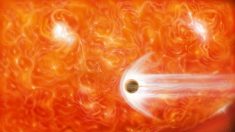 Estrella “come” planetas es descubierta por científicos argentinos y brasileños