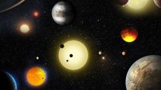 Misión Kepler descubrió  los 3 exoplanetas habitables más cercanos a la Tierra