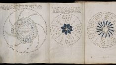 El enigma de Voynich, el manuscrito medieval más misterioso del mundo, ¿se resolvió?
