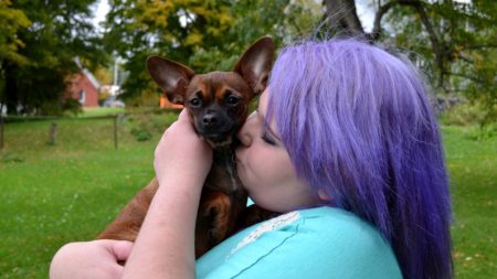 Perrita escurridiza huye de sus rescatistas pero no se salva de su primer baño y adopción