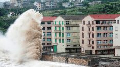 Alerta por el tifón Talim, el poderoso «Irma» asiático