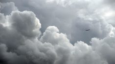 Extraordinario: un avión logró esquivar al huracán Irma ¡dos veces!