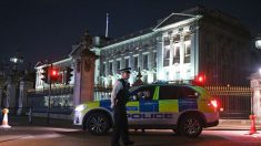 Atentado terrorista en Londres: al menos 18 heridos por explosión en el metro